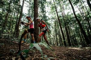 BIB: 
                            <button type="button" onclick="openModal(25261159)" class="btn btn-primary btn-sm float-right btn-popup" data-toggle="modal" data-target=".modal-high-quality">
                        <i class="fas fa-shopping-cart"></i> Add to Cart
                    </button>
                                            <button type="button" onclick="isThisMe(25261159, true)" class="btn btn-success btn-sm float-right btn-popup btn-isme hidden" data-toggle="tooltip" data-placement="bottom" title="นี่คือรูปของคุณใช่ไหม คลิกที่นี่เพื่อเอาเข้าอัลบั้ม">
                        <i class="fas fa-plus"></i> Add to album
                    </button>
                    <button type="button" onclick="isThisMe(25261159, false)" class="btn btn-warning btn-sm float-right btn-popup btn-isnotme hidden">
                        <i class="fas fa-ban"></i> Remove from album
                    </button>